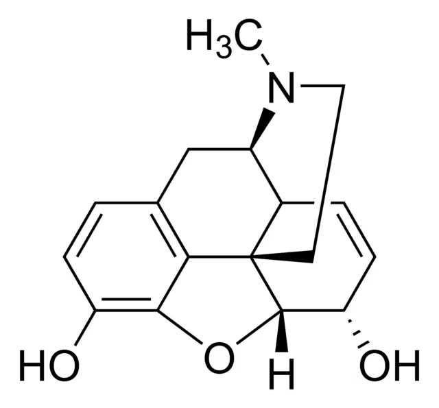 嗎啡標準溶液 100μg/mL